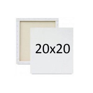 Tela Pintura 20 x 20