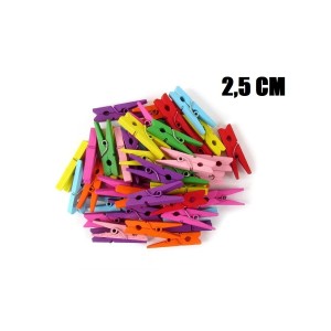 Mini Prendedor Madeira C/30